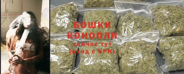 ешки Пересвет