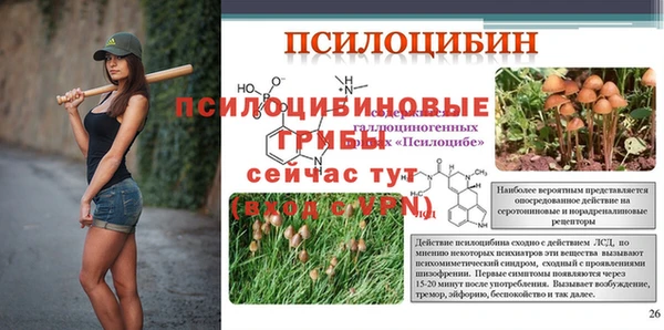 мяу мяу мука Балабаново