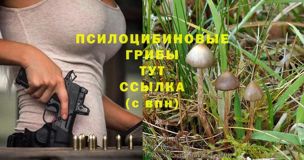 мяу мяу мука Балабаново
