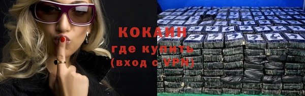 ешки Пересвет
