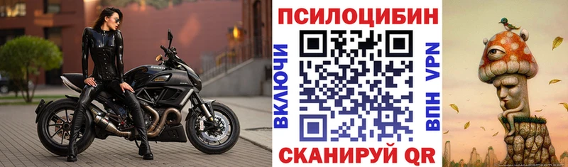 Купить где  Беломорск  Галлюциногенные грибы прущие грибы 